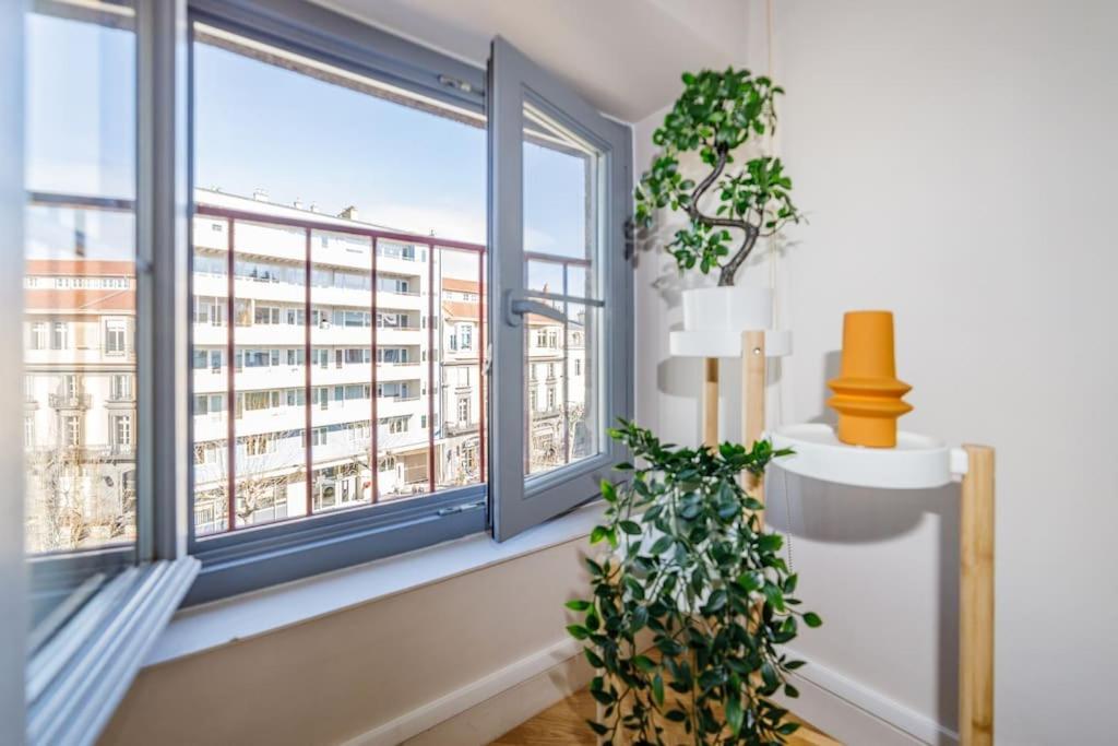 T2 Cozy Proche Du Centre Avec Canape Lit - 51Blatin Clermont-Ferrand Eksteriør bilde